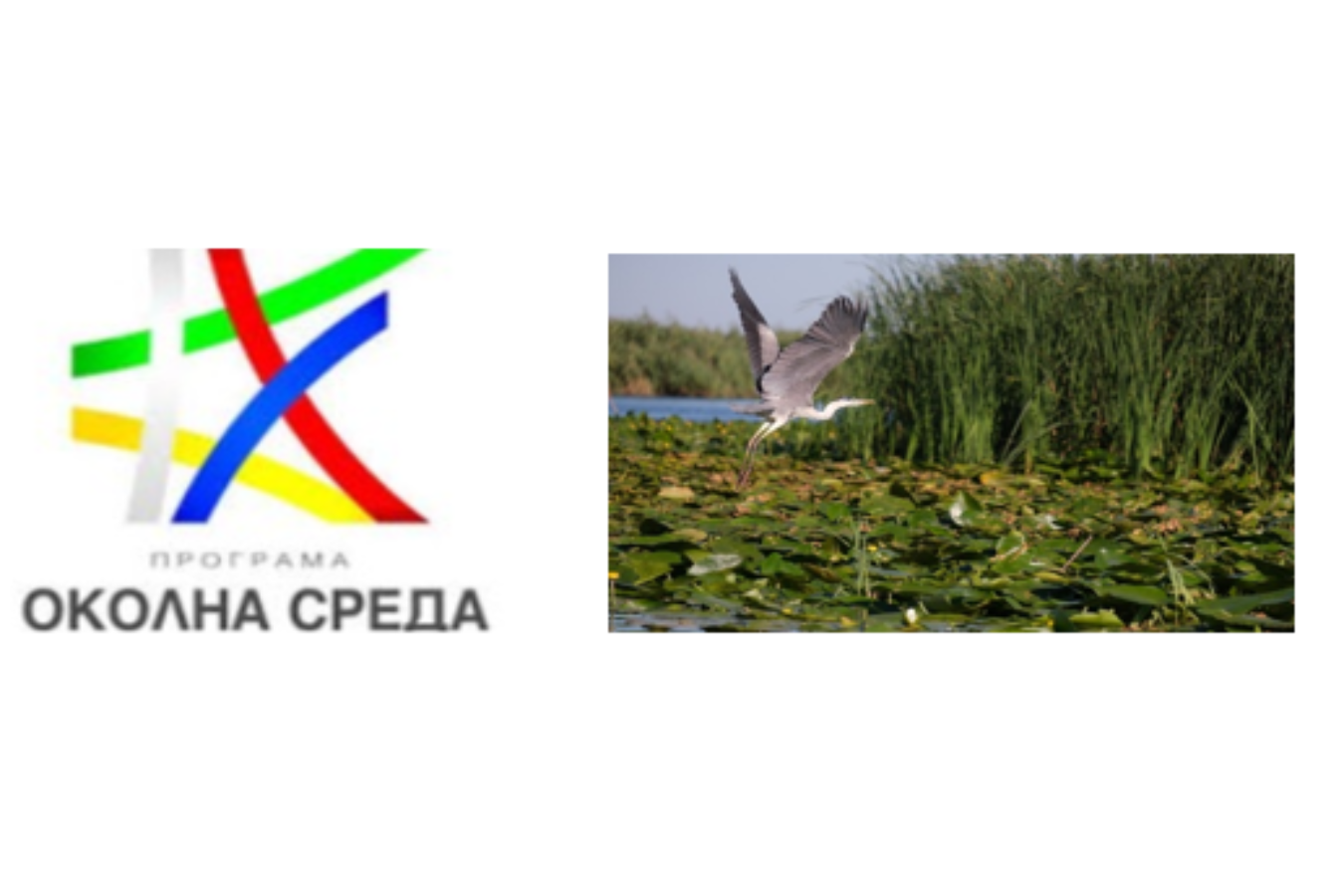 Промени в условията за кандидатсване по процедурата за храстови, природни и сладководни местообитания